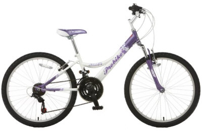 Probike Meloday front suspension