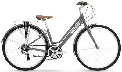Raleigh Pioneer Low Step